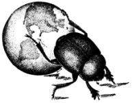 New York Entomological Society logo