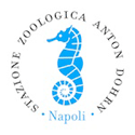 Stazione Zoologica Anton Dohrn - Napoli
