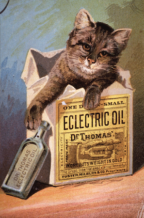 Eclectic Oil