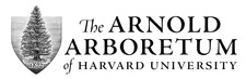 Arnold Arboretum of Harvard University logo